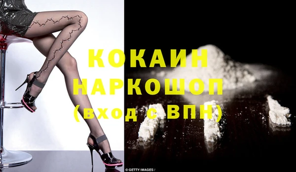 apvp Галич