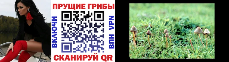 Галлюциногенные грибы мухоморы  Меленки 